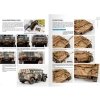 502 Abteilung ABT613 COMBAT VEHICLES OF WWII – VOLUME 2 EN