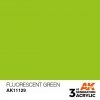 AK Interactive AK11129 FLUORESCENT GREEN – STANDARD 17ml