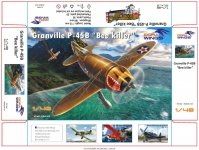 Dora Wings 48010 Granville P-45B Bee Killer 1/48