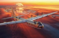 Roden 337 Convair B-36D/F/H/J Peacemaker 1/144