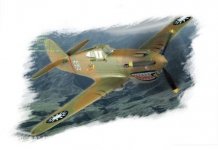 Hobby Boss 80209 P-40B/C HAWK-81A (1:72)