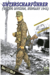 Das Werk DW16016 Unterscharführer (Divison Wiking Hungary 1945) 1/16