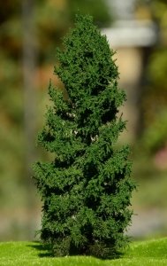 FREON MPN3 Larch - Modrzew pień niski (Pełny) 8/12cm