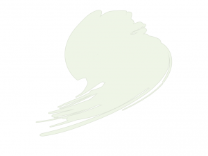 Hataka HTK-B049 Insignia White (FS17875, ANA 511)
