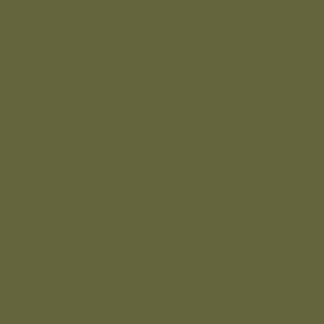Vallejo 71411 A-19F Grass Green 17ml