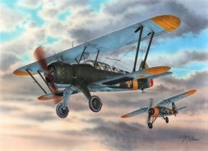 Special Hobby 72293 I.A.R. 38 (1:72)