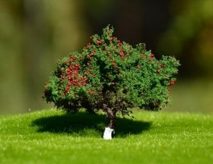 FREON JAB2 Apple tree - Jabłoń 3/4cm