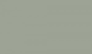 Lifecolor UA556 - Aegean Ghost Light Grey FS36307 Satin 22ml