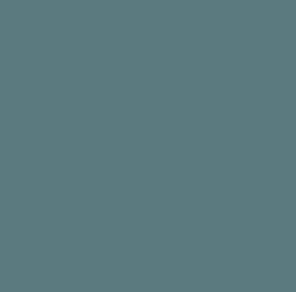Gunze Sangyo H515 Faded Gray
