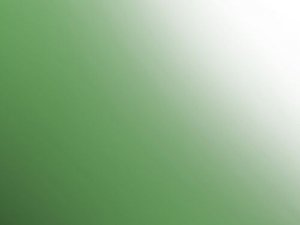 Hataka HTK-Q008 Acrylic Ink Green 17ml