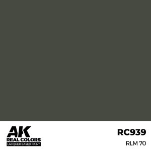 AK Interactive RC939 RLM 70 17 ml