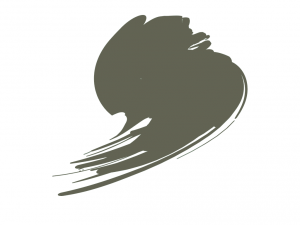 Hataka B202 BS Dark Slate Grey 10ml