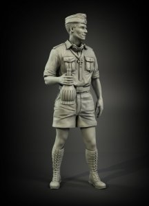 Panzer Art FI35-084 DAK tankers RK award ceremony No.1  1/35