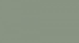 Lifecolor UA824 - Diesel Loco Roof Grey 22ml