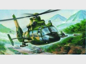 Trumpeter 02802 Harbin Z-9G Armed Helicopter 1/48