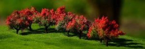 FREON KRZROZA Shrubs  rose - Krzewy róże 2/4cm (10 pcs)