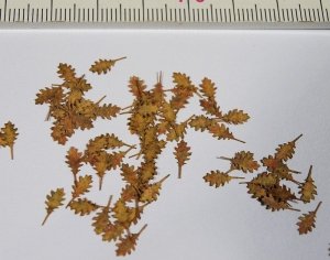 Model Scene L3-106 Northern Red Oak - autumn 1/32, 1/35