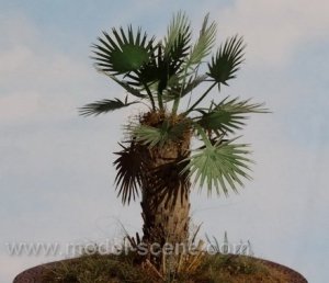 Model Scene VG3-012 Palm leaves - type II green 1/35
