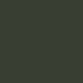 Gunze Sangyo C361 Mr Color Dark Green