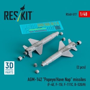 RESKIT RS48-0517 AGM-142 Popeye/Have Nap missiles (2 pcs) (3D Printed) 1/48