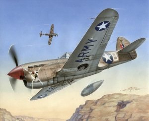Special Hobby 72155 P-40 F Warhawk Short Tails over Africa  1/72 