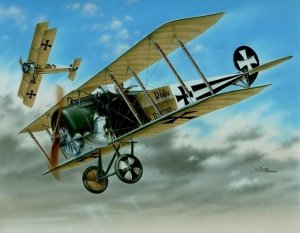 Special Hobby 48038 Fokker D. II Black / White Tails 1/48