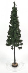 FREON SGPN1 Mountain Spruce  - świerk górski, pień niski, wysokość 28/30 cm