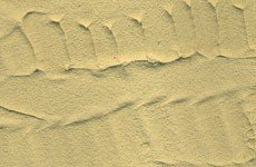 Vallejo 26217 Stone Textures. Desert Sand 200ml