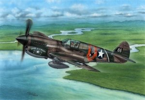 Special Hobby 72338 P-40E Warhawk 'Claws and Teeth' 1/72