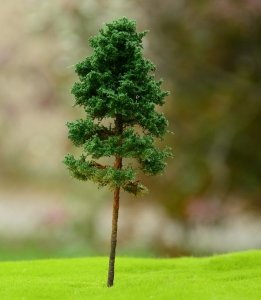 FREON SOD1 Pine - Sosna dorosła 18/20cm