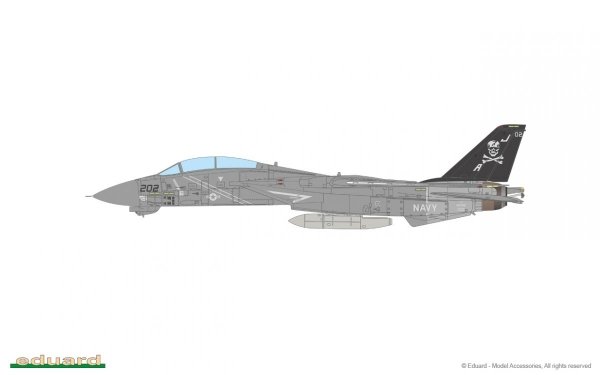 Eduard D48105 F-14A TAMIYA 1/48