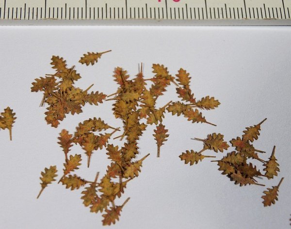 Model Scene L3-106 Northern Red Oak - autumn 1/32, 1/35