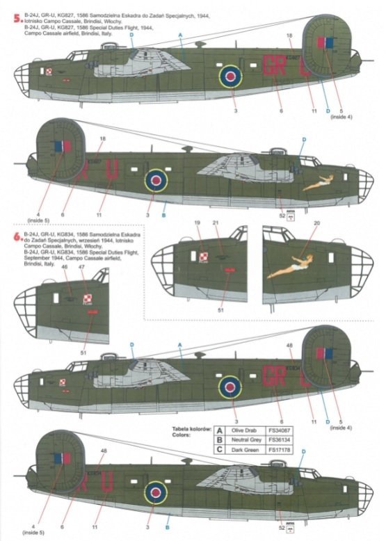 Techmod 72163 B-24 Liberator 1/72