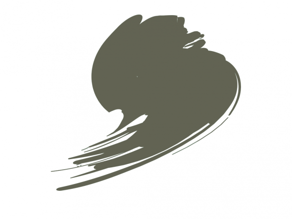 Hataka B202 BS Dark Slate Grey 10ml