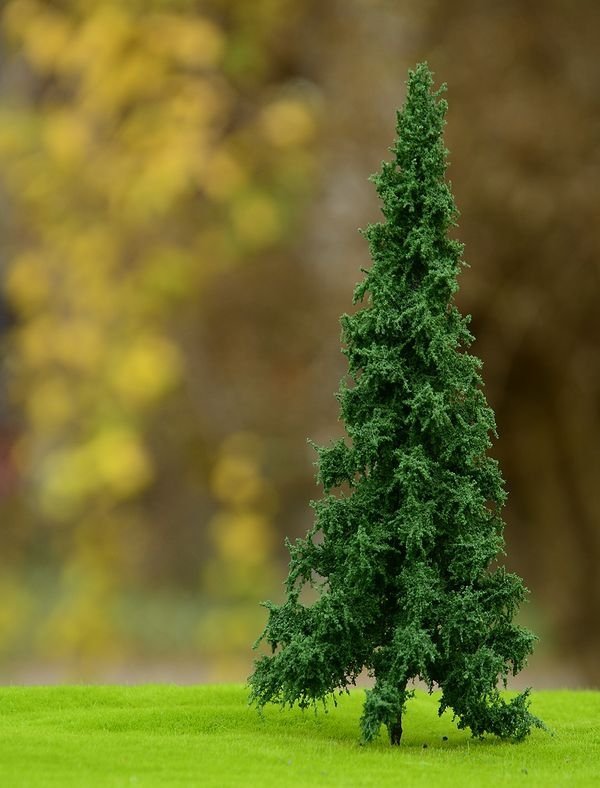 FREON SWI1 Norway spruce - Świerk Pospolity pień niski (pełny) 18/20cm
