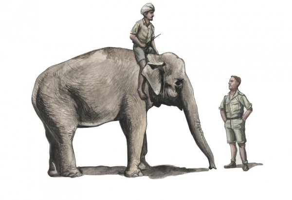 CMK F48345 WWII RAF Mechanic in India + Elephant with Mahout 1/48