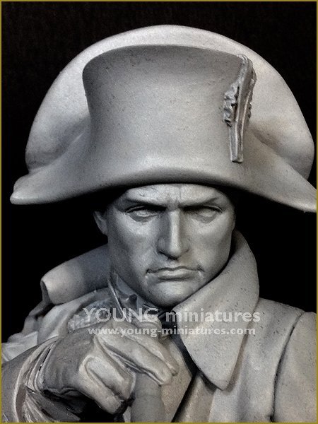 Young Miniatures YH1846 NAPOLEON at Austerliz 1/10