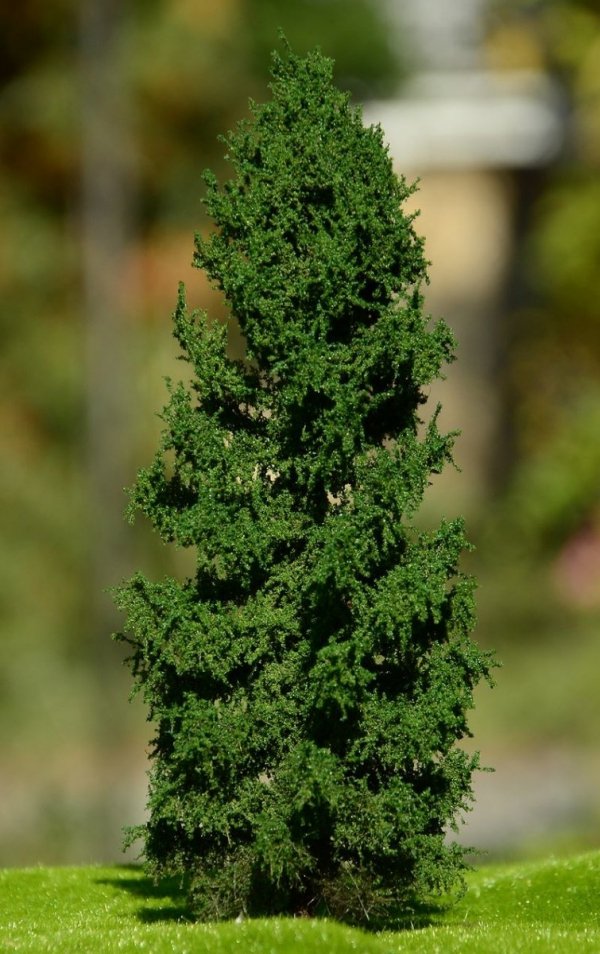 FREON MPN3 Larch - Modrzew pień niski (Pełny) 8/12cm