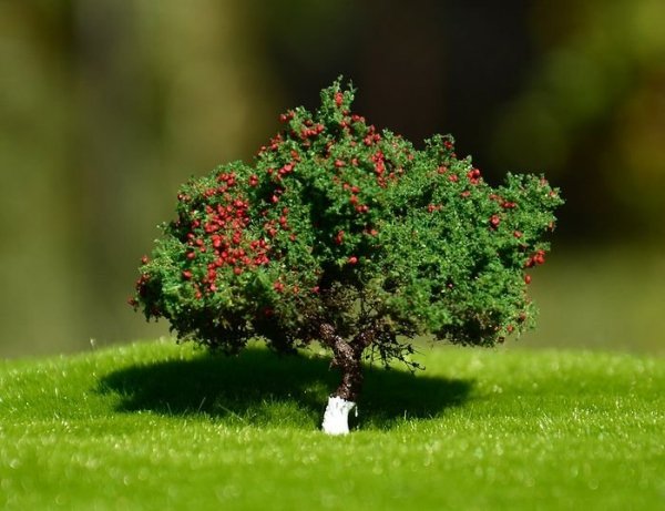FREON JAB2 Apple tree - Jabłoń 3/4cm