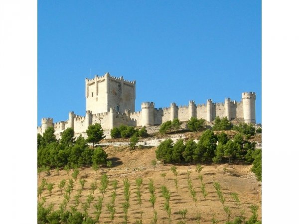Aedes Ars 1017 Castillo De Penafiel 1/260