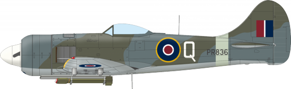 Eduard 11164 The Ultimate Tempest Limited Edition 1/48