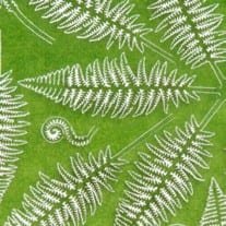 AK Interactive AK8134 FERN 1/32 AND 1/35