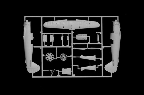 Italeri 2819 HENSCHEL HS 123 1/48