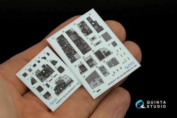 Quinta Studio QDS-48245 F-4EJ Kai 3D-Printed &amp; coloured Interior on decal paper (ZM SWS) (Small version) 1/48