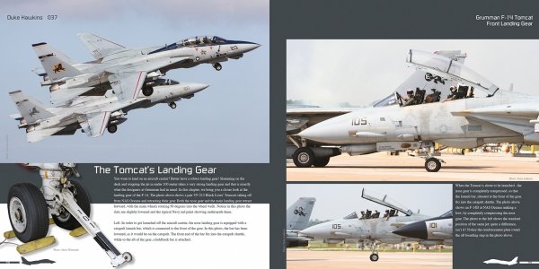 HMH Publications DH-037 Grumman F-14 Tomcat - Aircraft in Detail 037 (English Version)