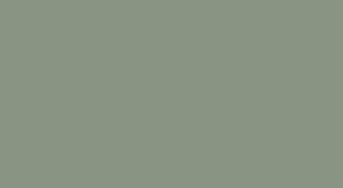 Lifecolor UA824 - Diesel Loco Roof Grey 22ml