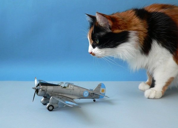 Clear Prop! CP4803 H-75O Hawk ADVANCED KIT 1/48