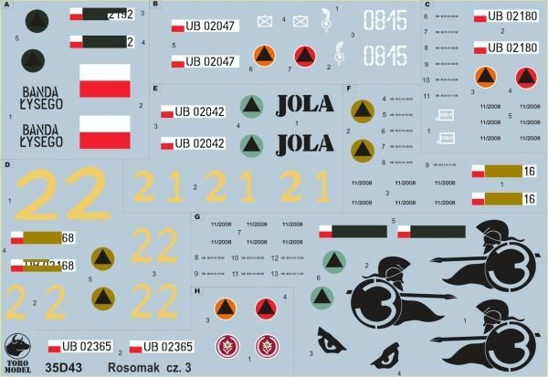 ToRo Model 35D43 - Polish APC Rosomak - vol.3 1/35