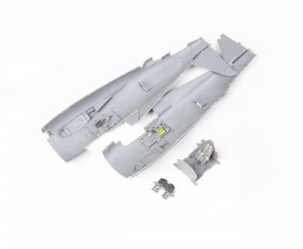 Eduard 3DL48254 P-47D Razorback SPACE MINIART 1/48