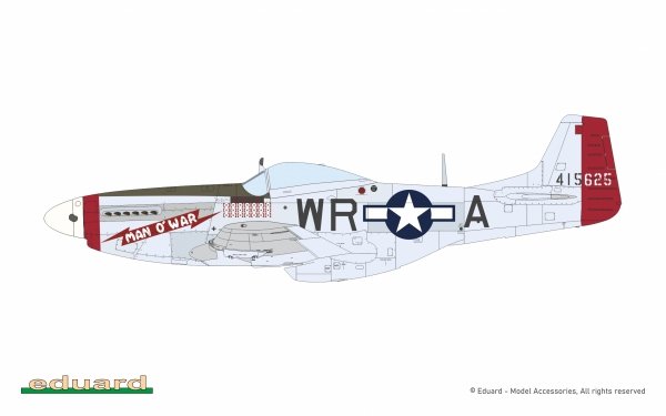 Eduard 11196 North American P-51 D Mustang - Mighty Eight (4th FG, 355th FG, 361st FG and 479th FG Decals) 1/48